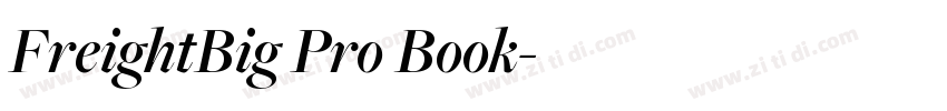 FreightBig Pro Book字体转换